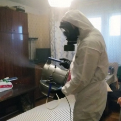 Дезинфекция от клопов в Арзамасе